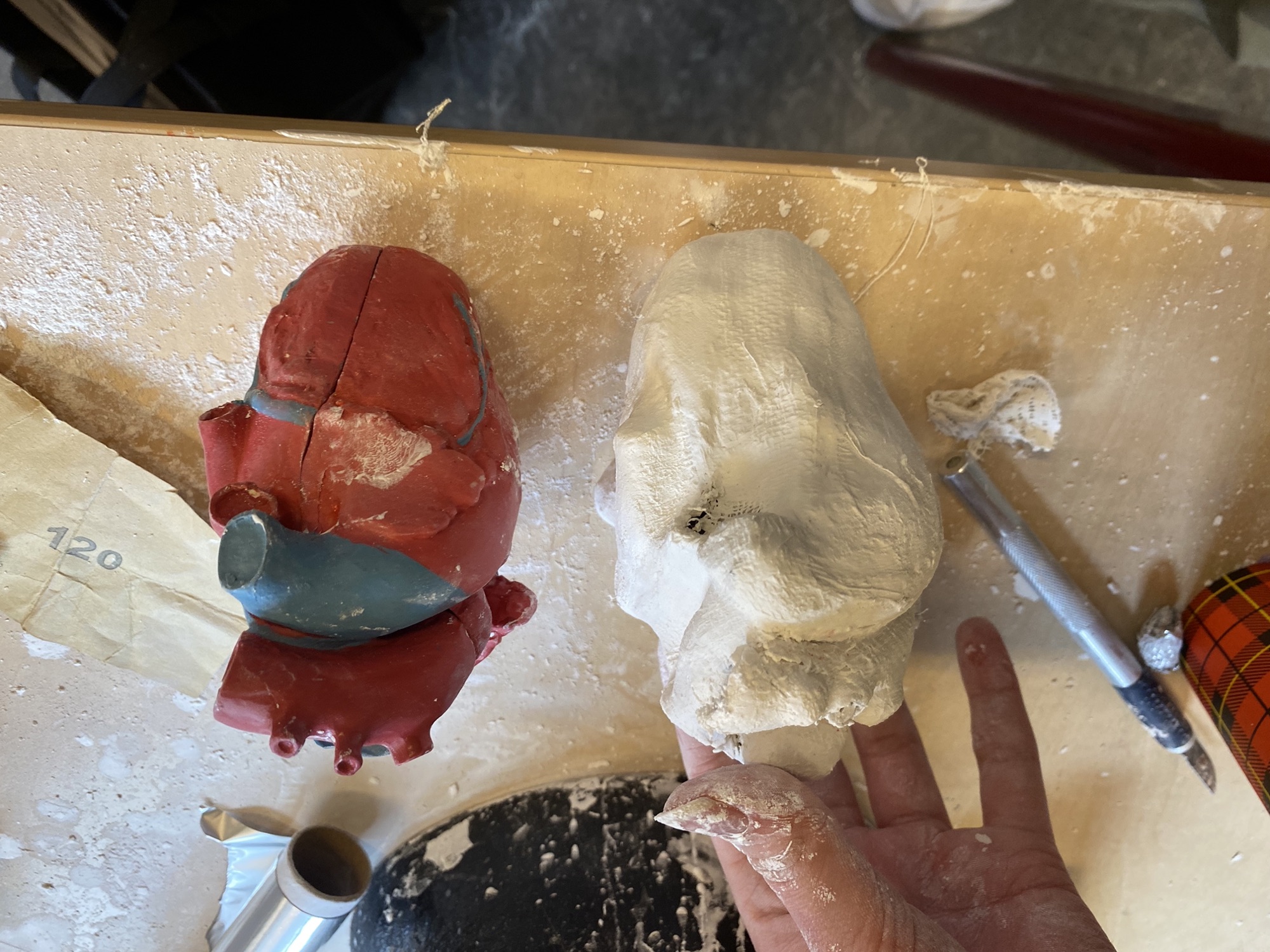 Rennend hart — proces 1